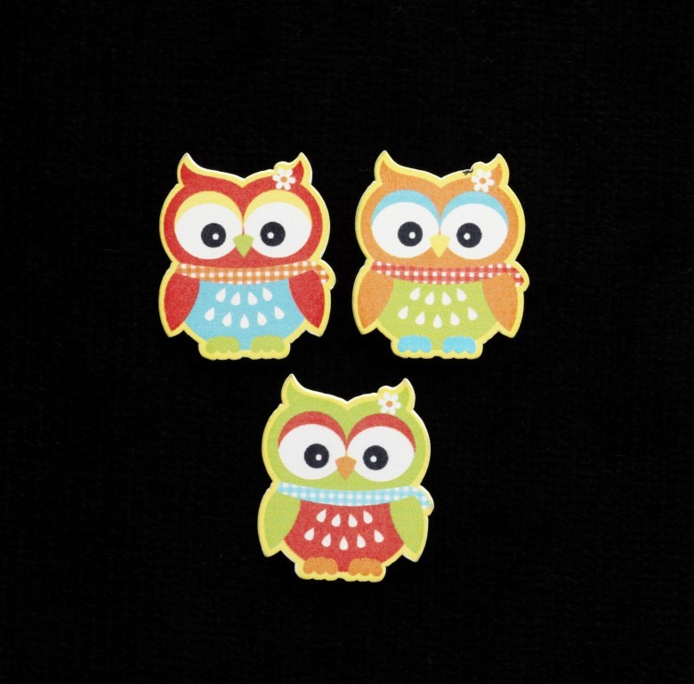 Bright Owls x 6