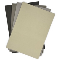 NEW Craft Artist Canvas Card - Neutrals