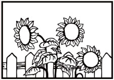 Nellie Snellen Embossing Folder - Sunflowers