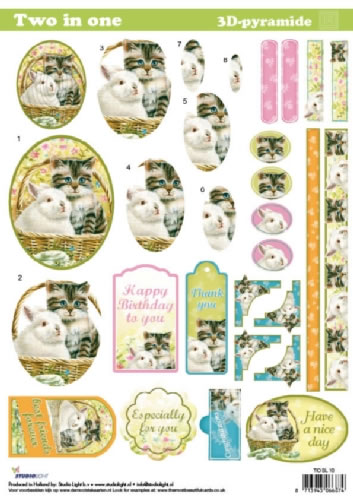 Two in One Pyramid 3D - Cat / Rabbit (10 Sheets) NOW HALF PRICE